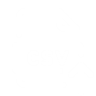 CSV